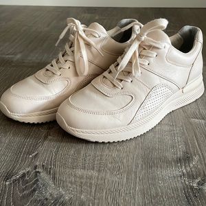 Everlane sneakers